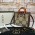 GUCCİ DİANA MEDİUM TOTE BAG OVERSİZE